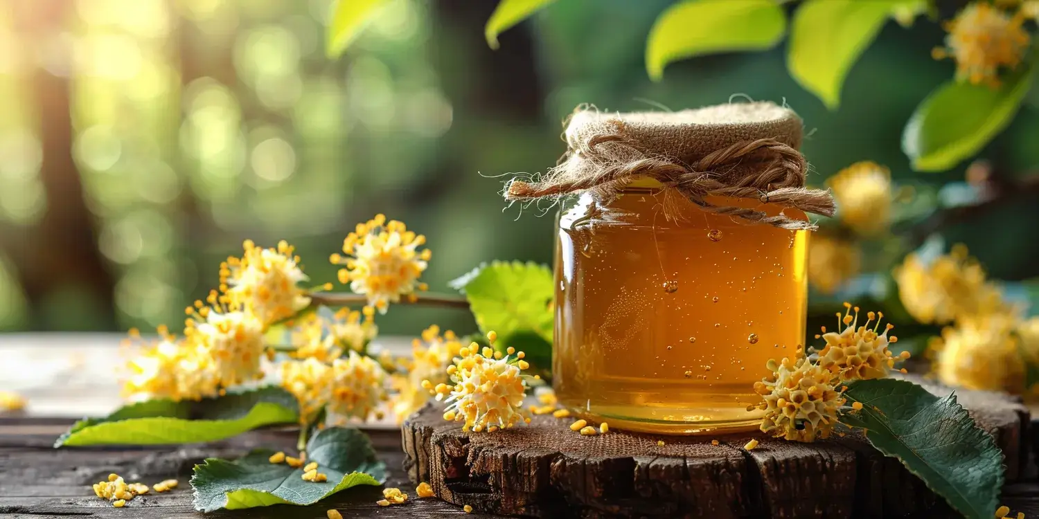 Dlaczego miód rzepakowy jest zdrowy?