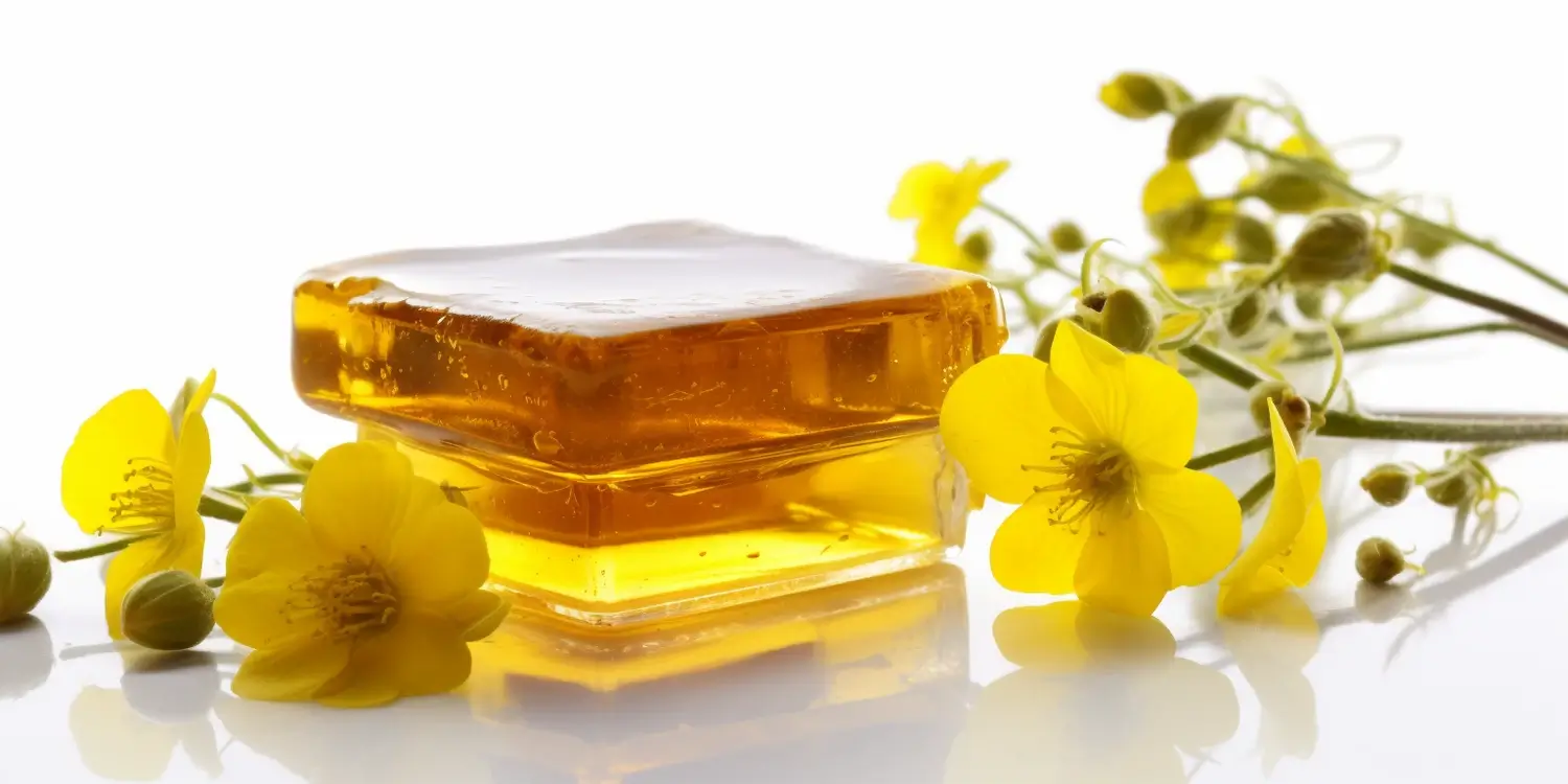 Miód rzepakowy na co dobry?