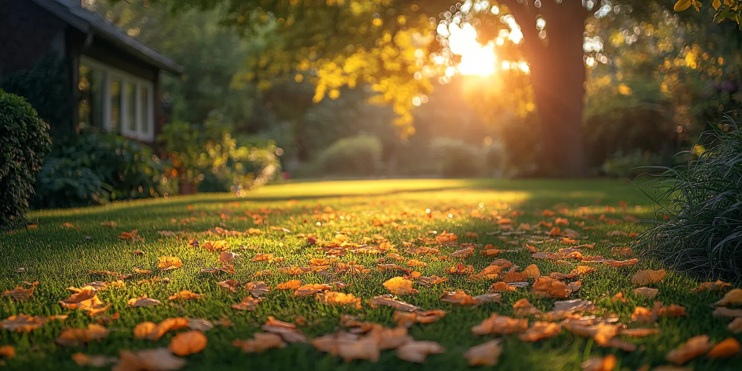 Ogród leśny jakie rośliny?